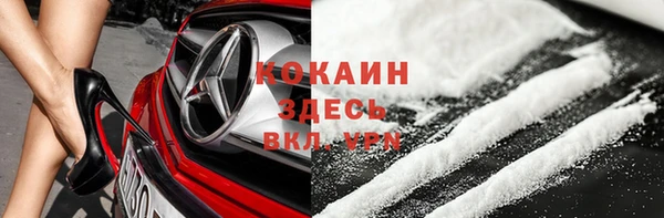 дурь Инта