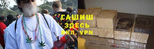 дурь Инта