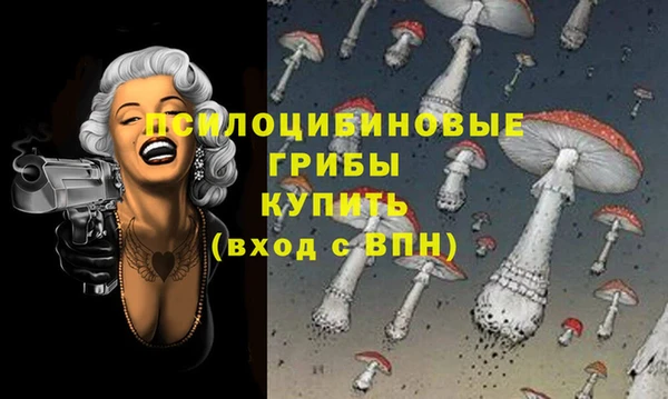 дурь Инта
