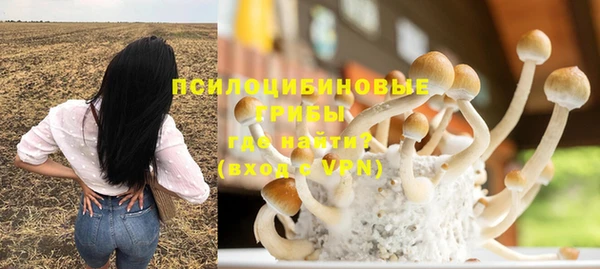 герыч Инсар